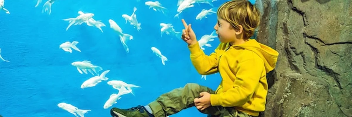 Dziecko ogląda ryby w oceanarium