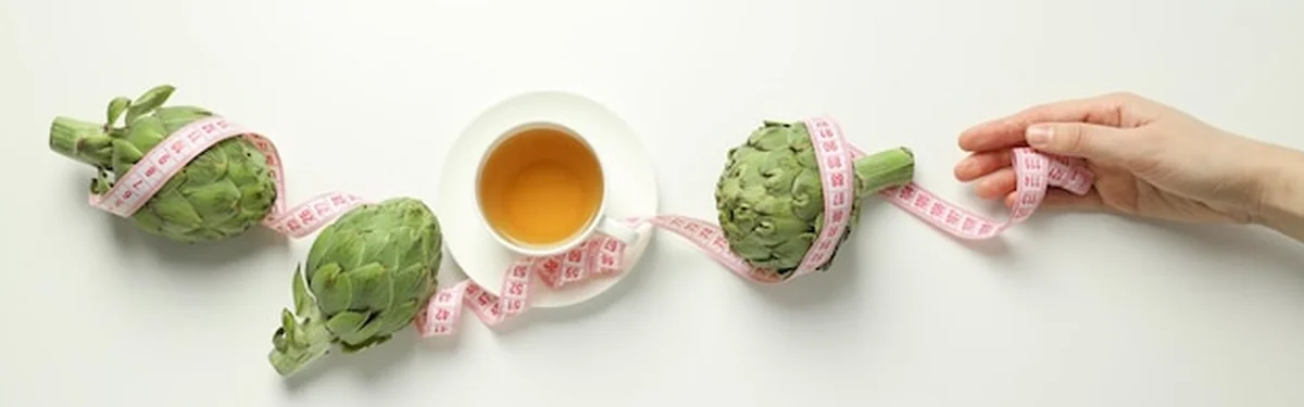 Produkty dla opieki zdrowotnej - koncepcja medycyny karczochów