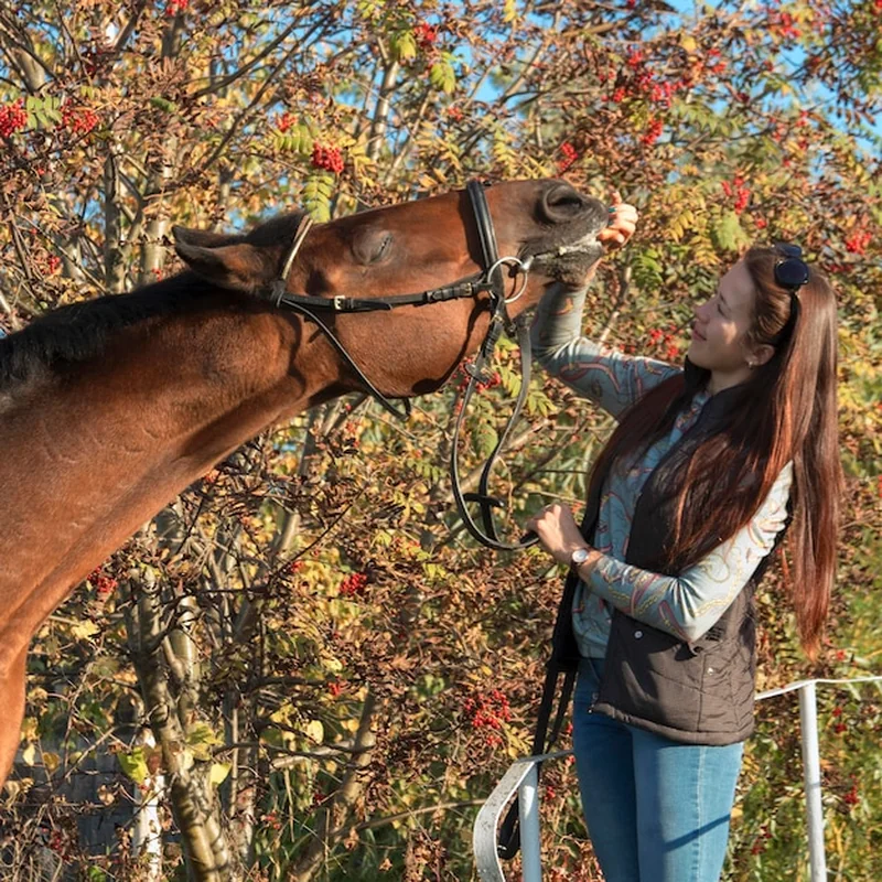Młoda kobieta z koniem na świeżym powietrzu