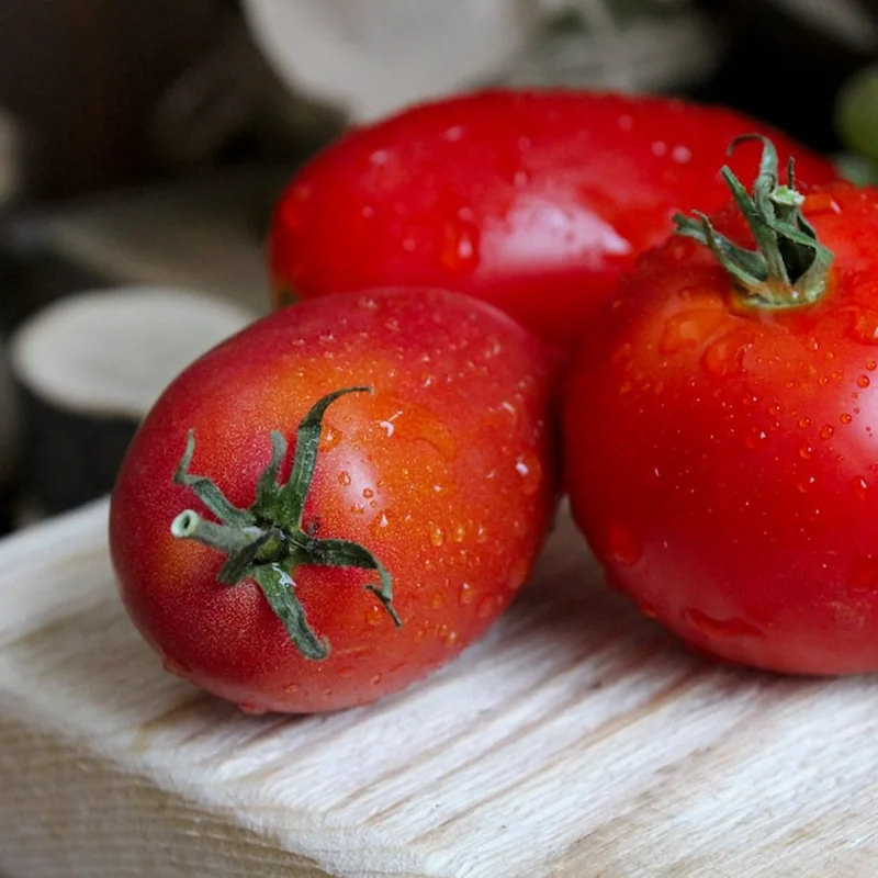 Pomidory rzymskie odmiany – poznaj najlepsze typy i porady